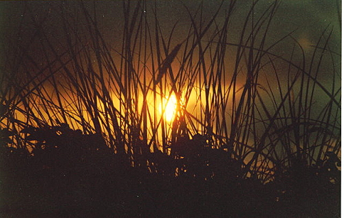 9 unterg bdhteich.jpg